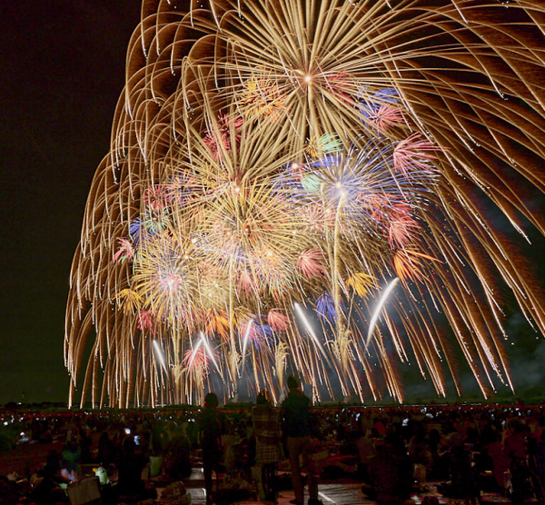 エリア関東こうのす花火大会チケット